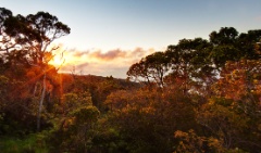 Kauai Sunset Sunstar.jpg